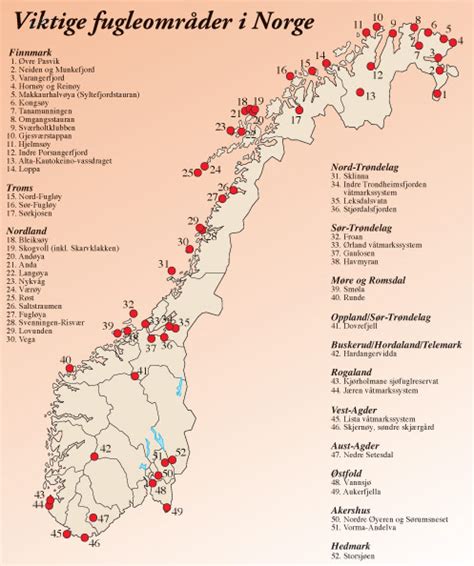 ibas norge.